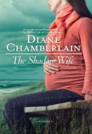 Chamberlain, Diane - The Shadow Wife
