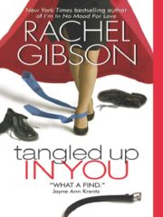 Rachel Gibson - Tangled Up in You