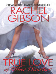 Rachel Gibson - True Love and Other Disasters