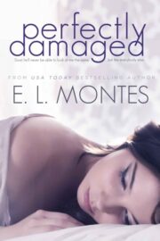 E. Montes - Perfectly Damaged