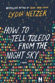 Lydia Netzer - How to Tell Toledo from the Night Sky