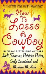 How To Lasso A Cowboy
